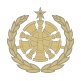 9b - Command Fire Chief